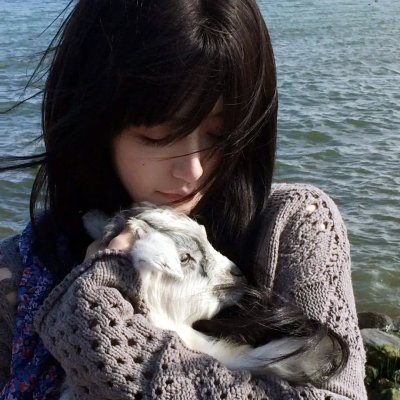 笨贼龙虎榜