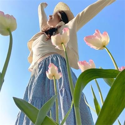 艾尔·葛雷柯
